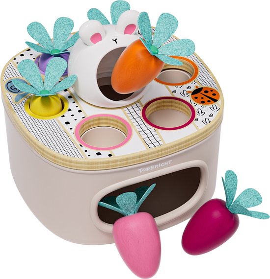 Topbright - Jeu de formes - Associer et trier - Carottes