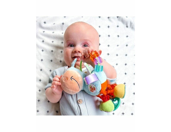 Playgro - Rammelaar - Clip Clop, Baby Activity Toys, Playgro, Keekabuu