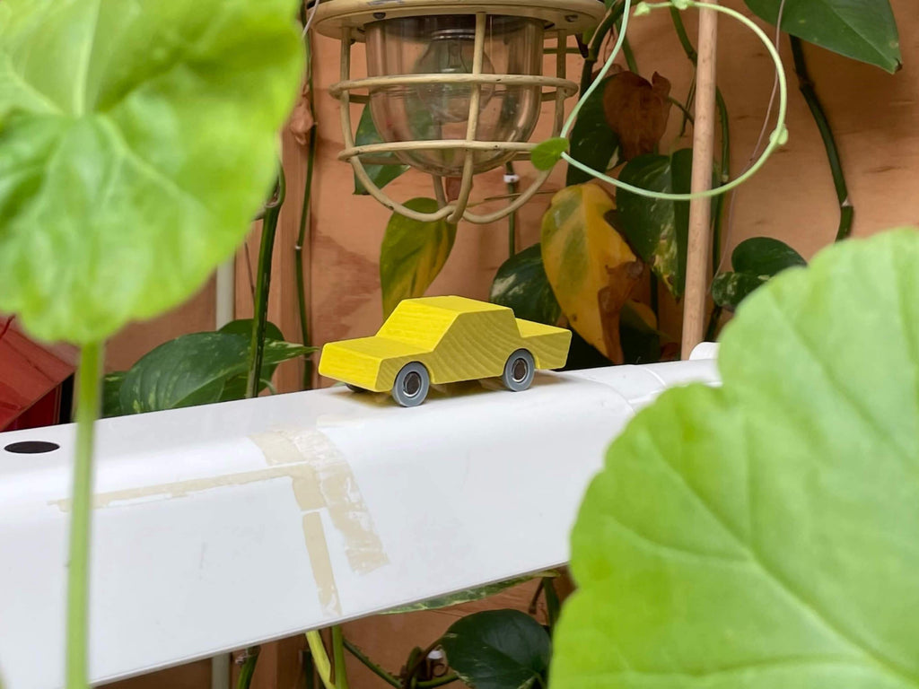 WaytoPlay - Back and Forth  auto, Voertuigen, WaytoPlay, Keekabuu