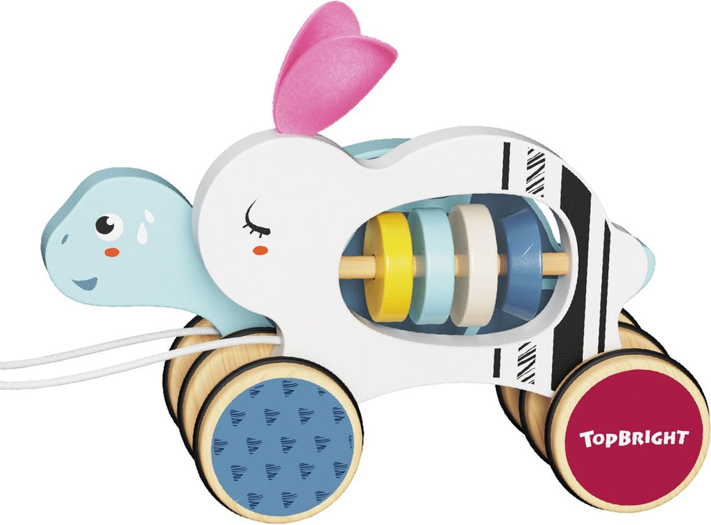 Topbright - Jeu de formes - Match et Sort - Petites carottes (copie)