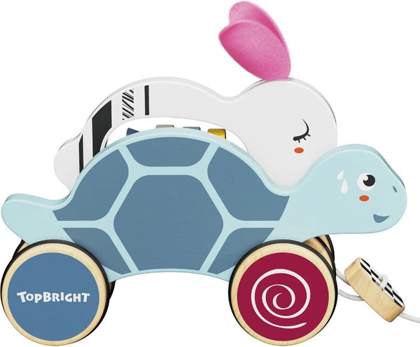 Topbright - Jeu de formes - Match et Sort - Petites carottes (copie)