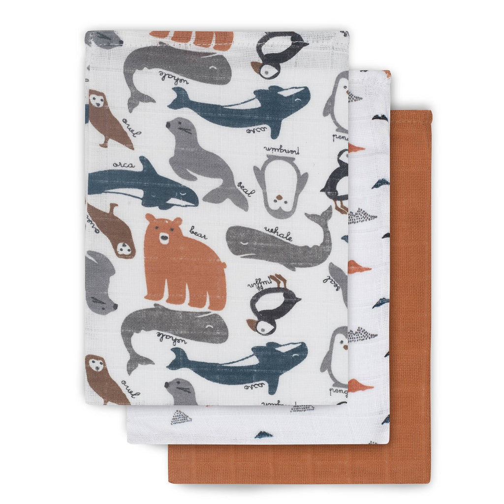 Jollein - Hydrofiele Washandjes 3 pack, Washandjes, Jollein, Keekabuu